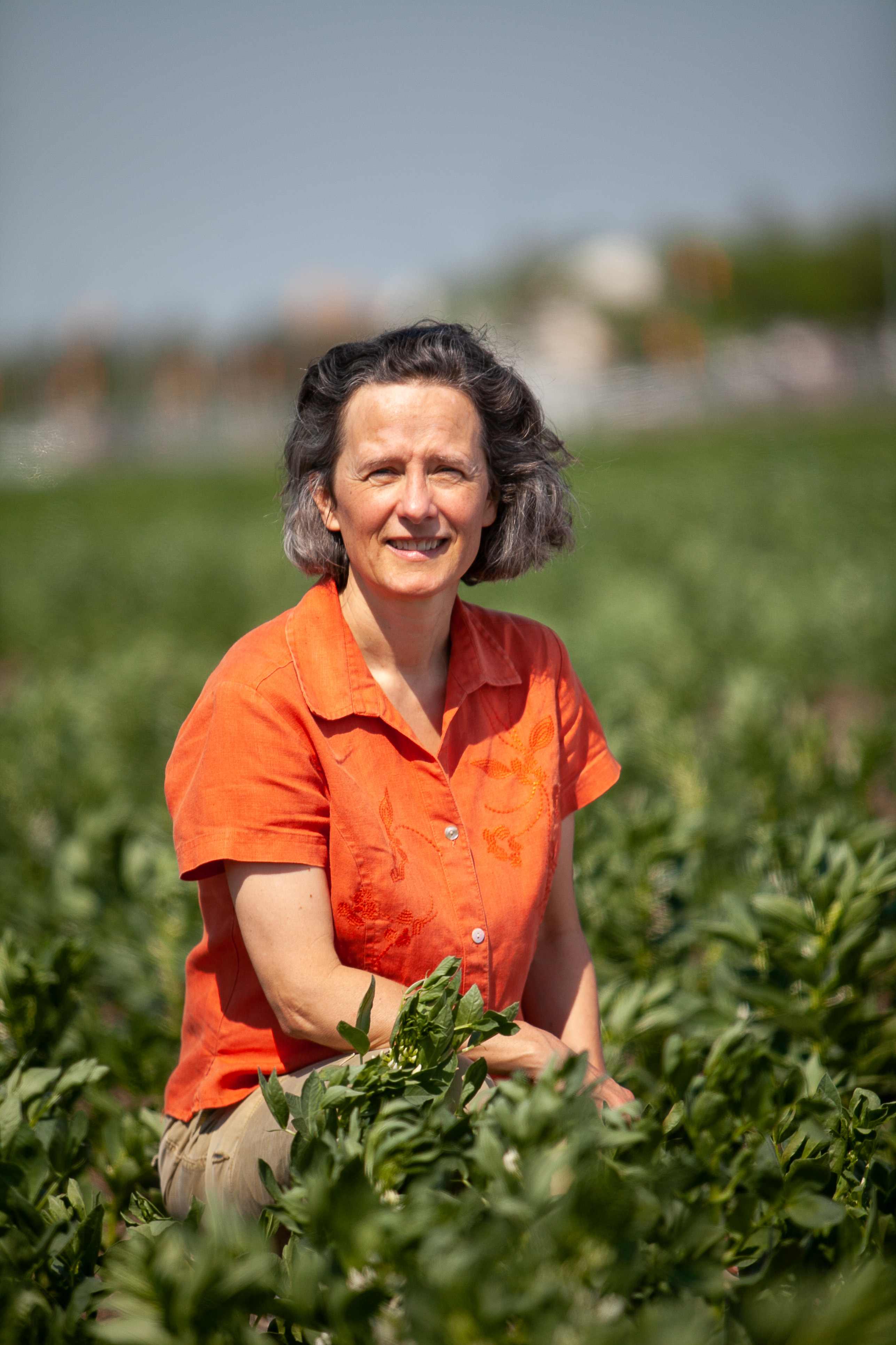 Dr. Sabine Banniza (PhD), professor in USask’s College of Agriculture and Bioresources. (Photo: Christina Weese)