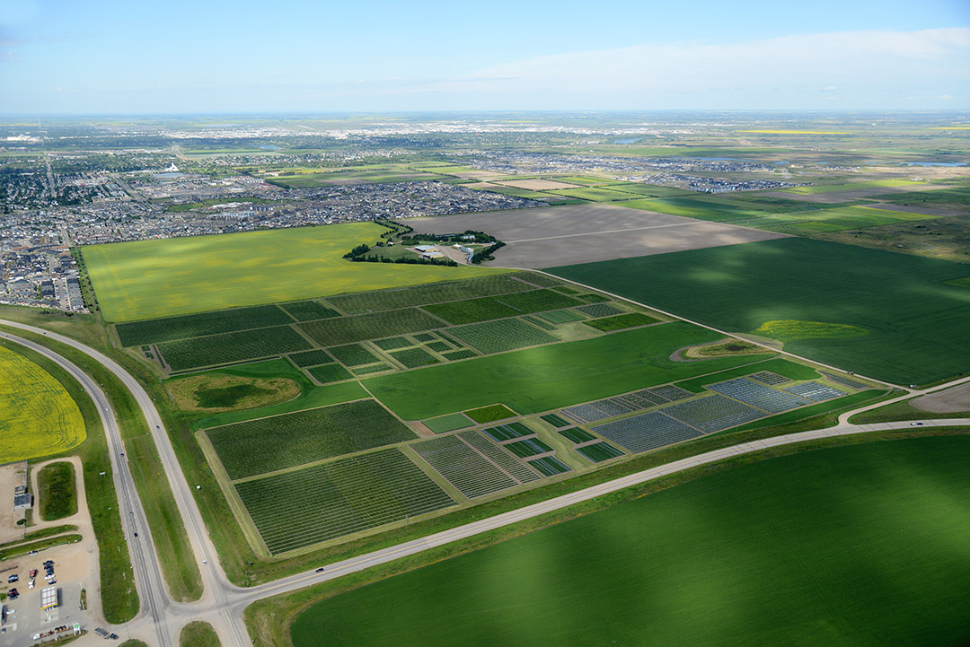 Efforts to improve outcomes for farmers, such as the Kernen Farm, at the University of Saskatchewan’s Crop Development Centre include research on disease pressures on wheat and pea crops and plant breeding. (Photo: Airscapes)
