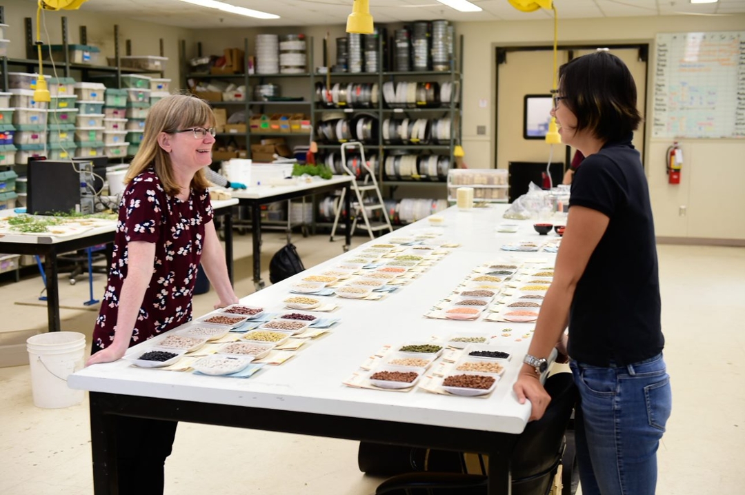 USask plant researcher Kirstin Bett (left) discusses beans and pulses with Crystal Chan, former project manager. (Photo: Debra Marshall Photography)