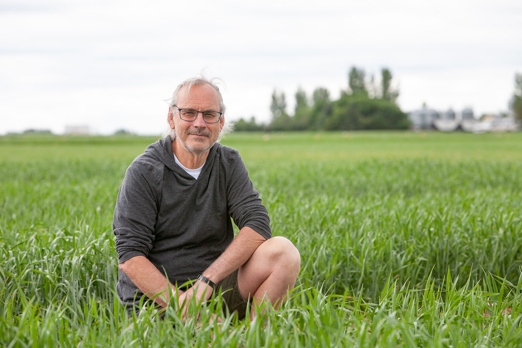 Dr. Pierre Hucl (PhD) is a professor and plant breeder in the Department of Plant Sciences and Crop Development Centre. (Photo: Christina Weese)